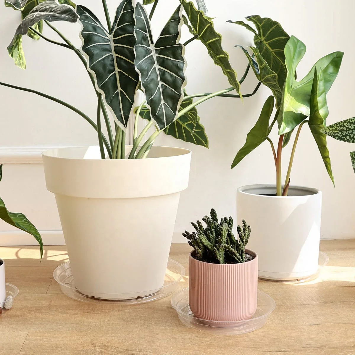 Plant Saucer Drip Tray 6 810 12 inch Clear Heavy Sturdy Plastic Planter Flower Pot Saucers for Indoor Outdoor Garden