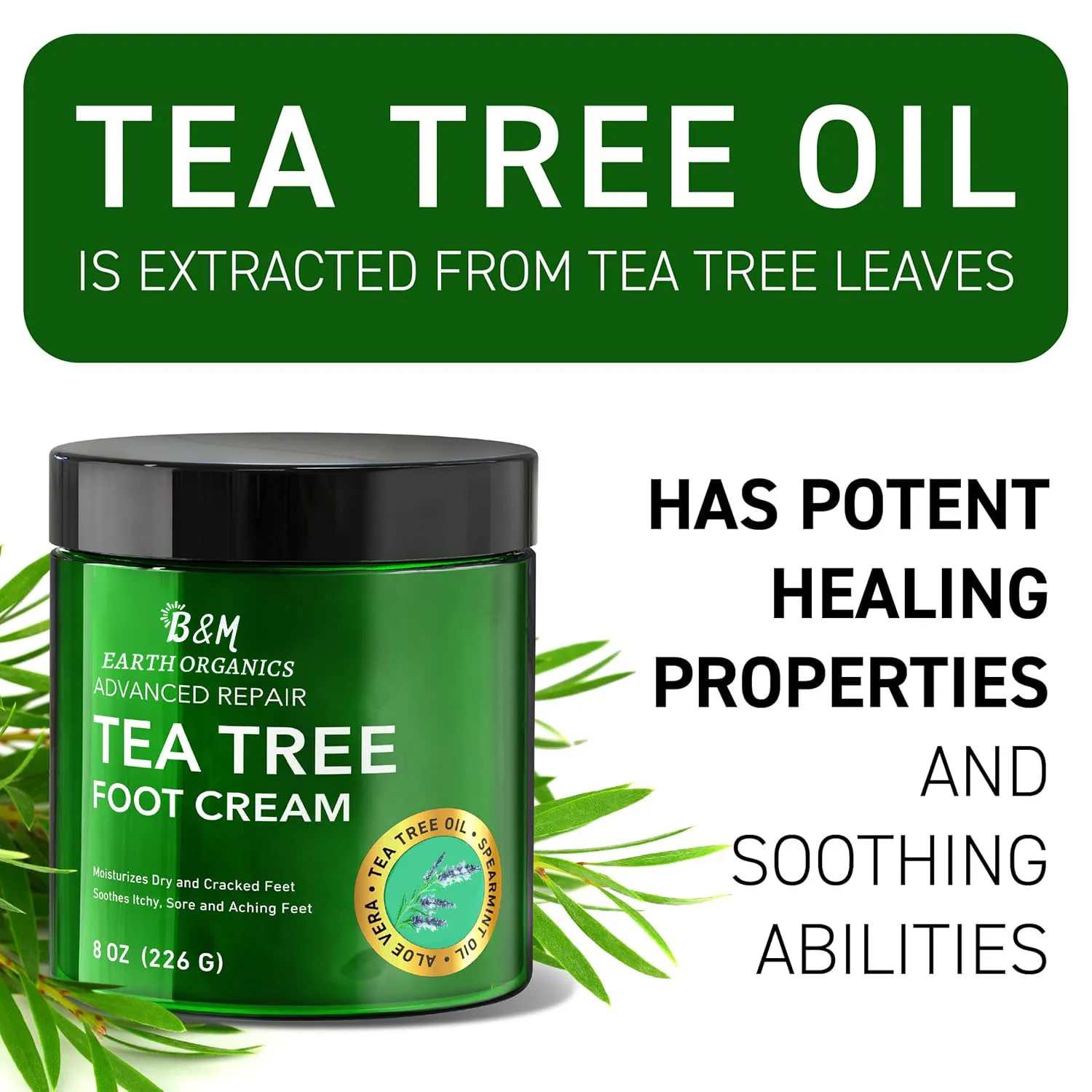 Biology Tea Tree Oil Foot Cream for Dry Cracked Heels and Itchy Skin Foot Cream