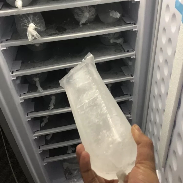 198L DC 24V commercial edible ice block cube solar panel gel battery 70kg per 24 hours ice maker machine upright freezers