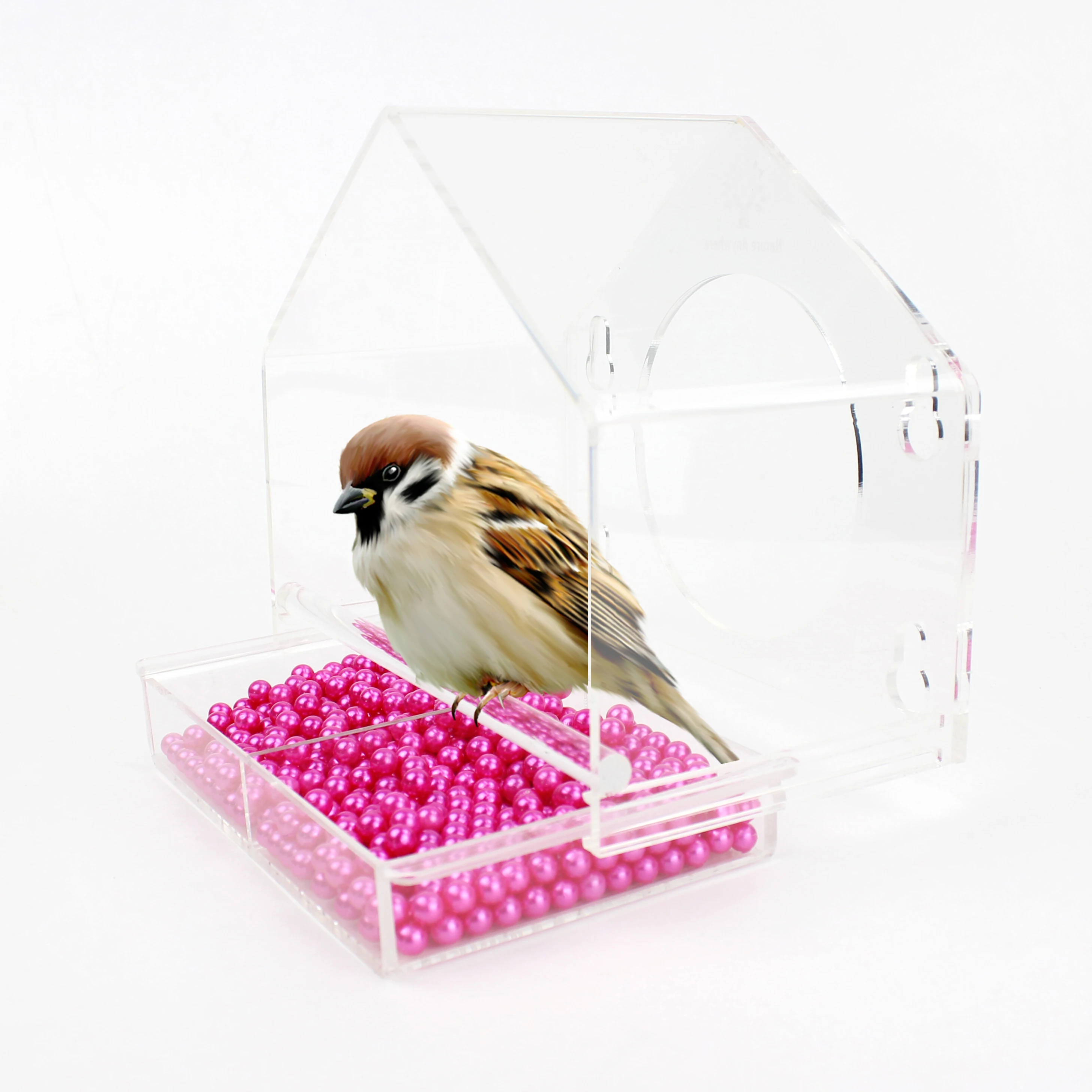 Removable Tray Transparent Acrylic Feeder For Bird Crystal Window Bird Feeder PMMA Clear Stay Strip