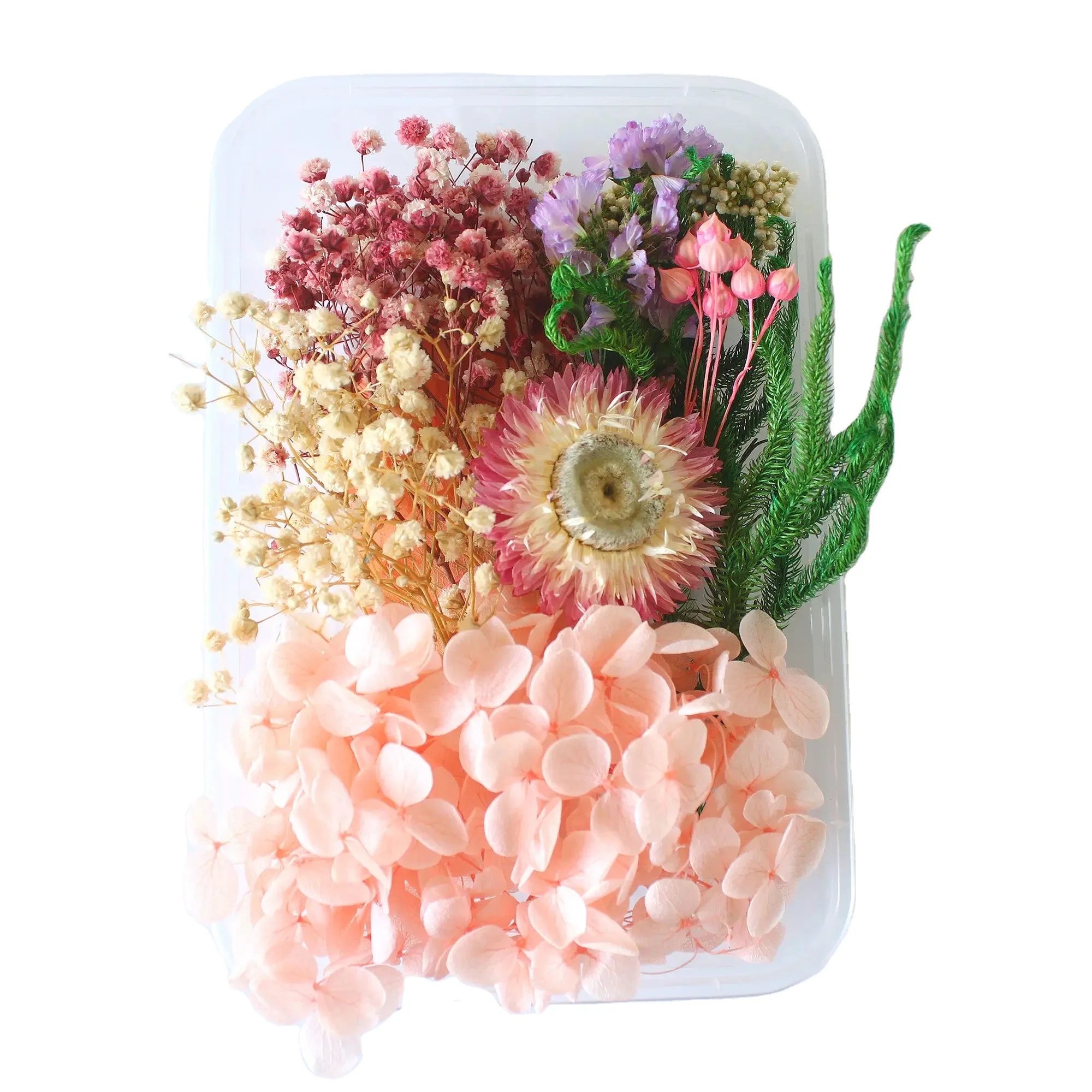 Random DIY Boxed Mixed Dried Flower For Resin Art Nails Decor Mobile Phone Shell Real Flower