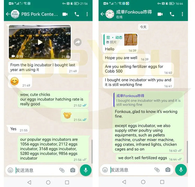 Latest Hot Selling 264 Grey Chicken 264 Egg Incubator And Hatcher Spare Parts