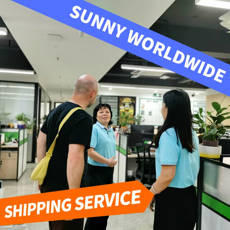 Swwls  shipping agent shenzhen freight forward sea air cargo CIF DDU DDP service to Saudi Arabia from China  logistics company