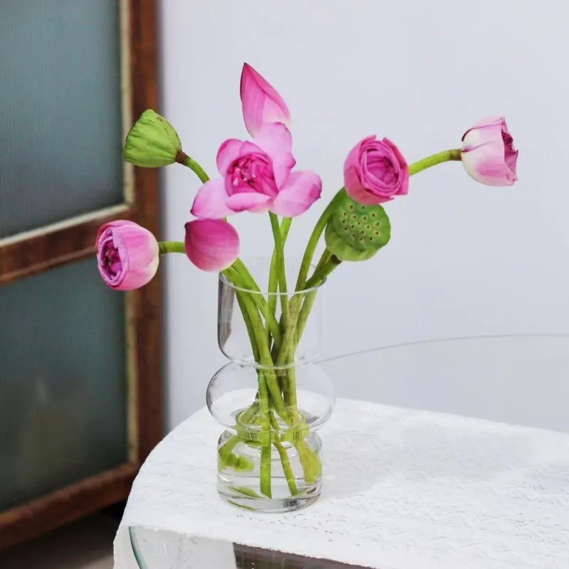 Arrangement Glasstableware Vase Dishes Setck Glass Vase Decoration Small Fresh Tabletop Decoration Dry Flower Bouquet Flower