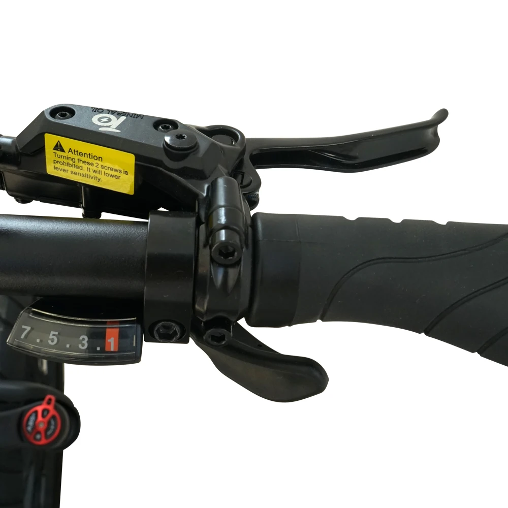 Hoya 2023 torque sensor ebike 36V350w Fat tire 20*4.0 inch folding electric bicycle