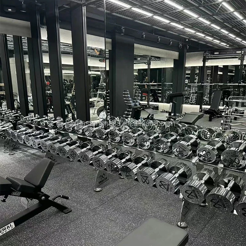 Free Weight  Steel Dumbbell with Custom Colorful  Logo