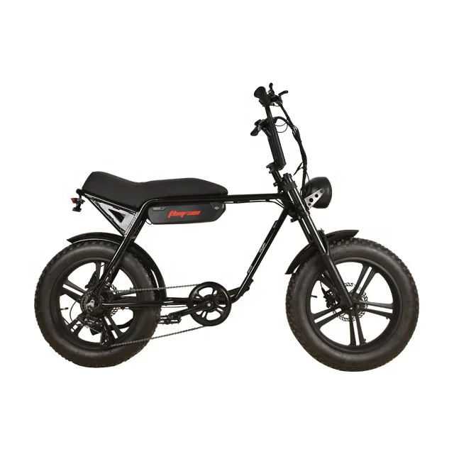 2024 hot sale 500 watt 48v fat tire mountain electric ebike bicicletta elettrica Adult full suspension electric motorcycle
