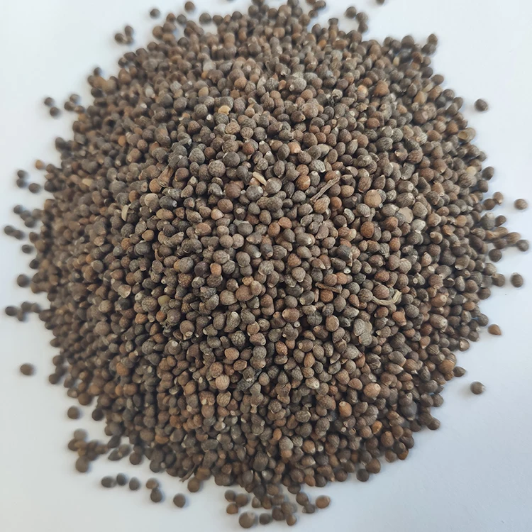 Hot Sale Chinese Hulled Perilla Seeds