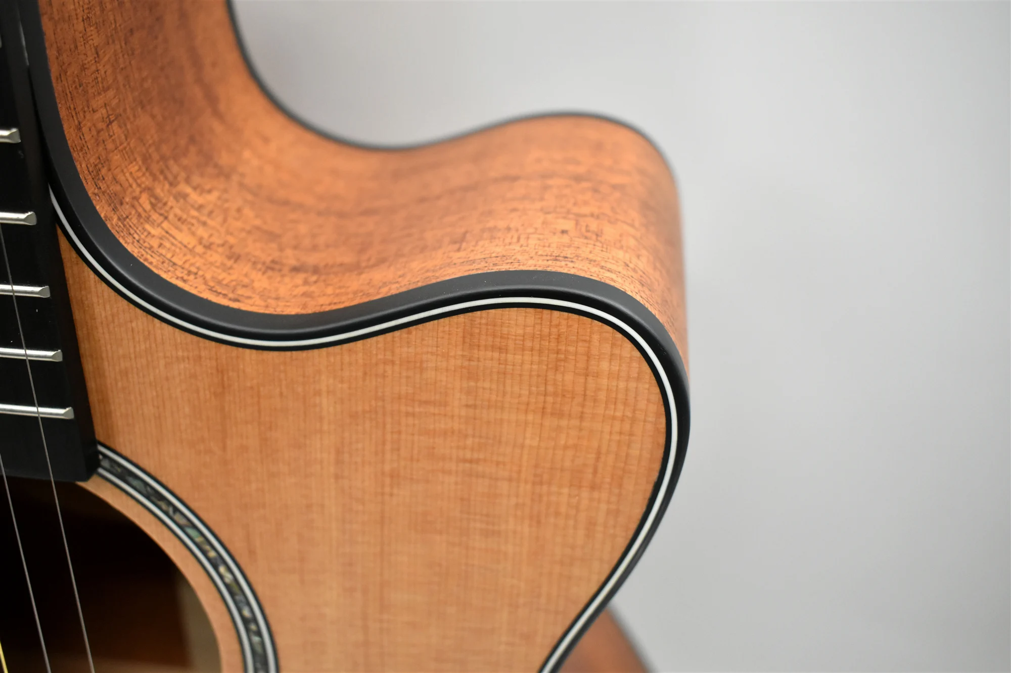 beginner student guitar