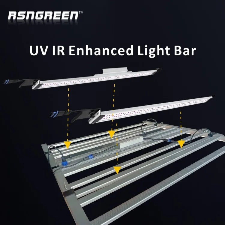 Risen Green 660W gavita led lights 640w 1700e with ETL ROSH CE Standards