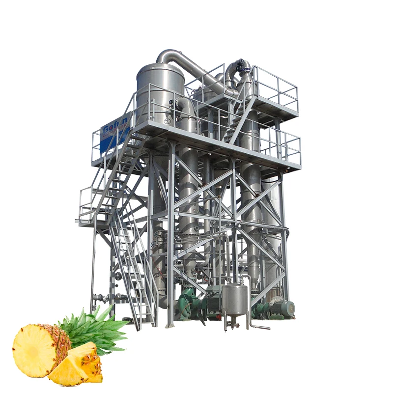 OEM factory Large-scale production project machinery for pineapple juice processing