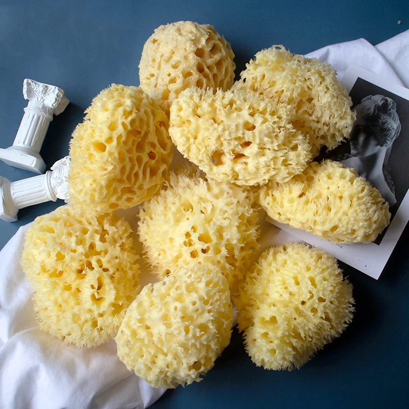 100% Natural Sea Sponge From The Sea Customized Packing Natural Sea Sponge For Baby Bath