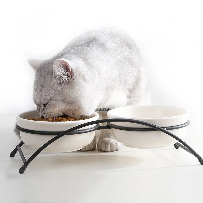 Non-Skid pet dog cat water food elevated Double ceramic dog feeder bowls
