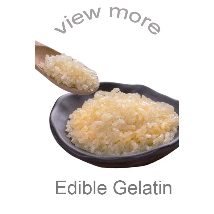 .jpg