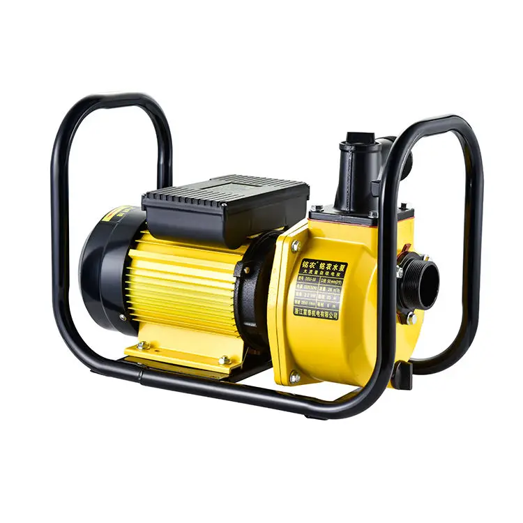 2 3 4 6 Inch Electric Garden Irrigation Equipment Agriculture Irrigation Water Pump