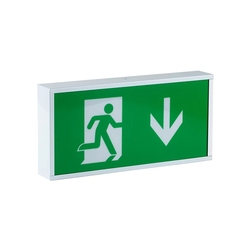 China Factory Rechargeable AC220-240V 3 hours Fire Box LED Emergency Exit Sign Light