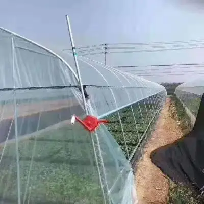 Factory customized popular tunnel greenhouse for sale  promotional walk in price film green house