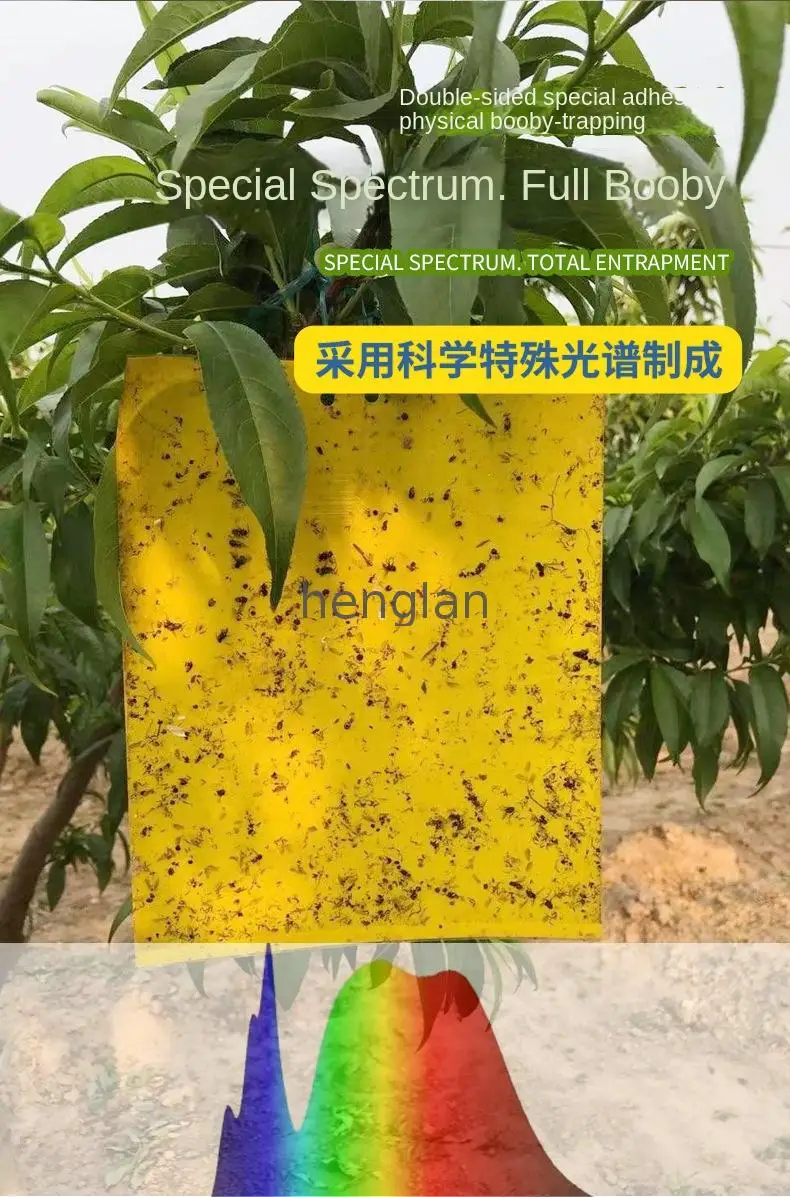 LL26 Non toxic plastic yellow sticky traps for insects pest control in agriculture