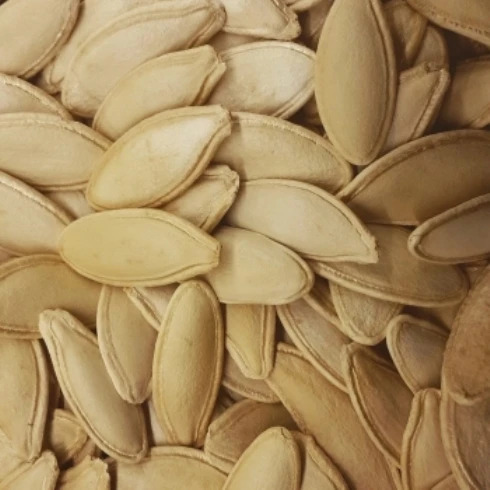 PUMPKIN SEEDS 2022 TOP PRODUCT