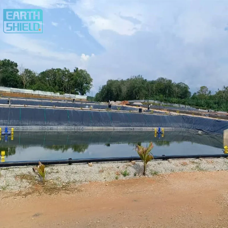 0.5mm0.75mm1mm geomembranes Hdpe Geomembrane Dam Liner with CE certificate