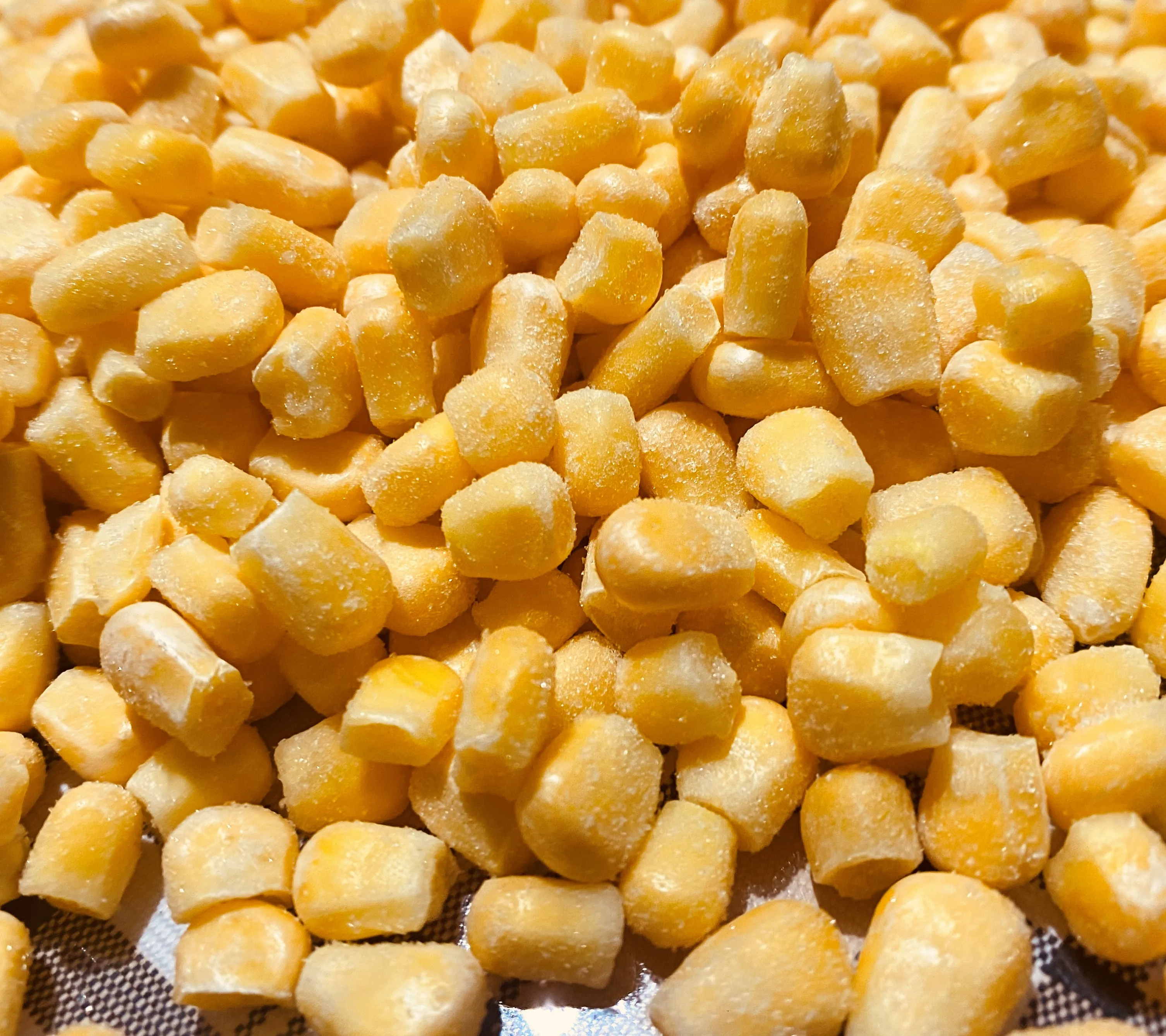 Frozen whole vegetables sweetcorn kernel corn cob cutting machine frozen corn yellow fresh white frozen corn