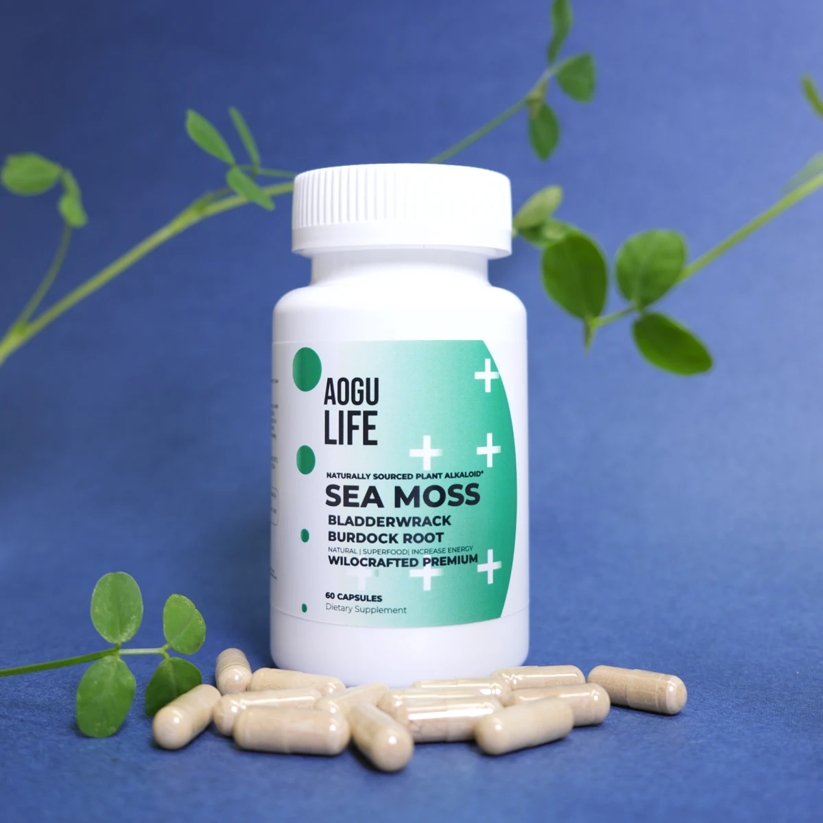 Wholesale Natural Organic Bee Pollen Rich in Vitamins Minerals High Protein No Additives Bee Pollen Powder