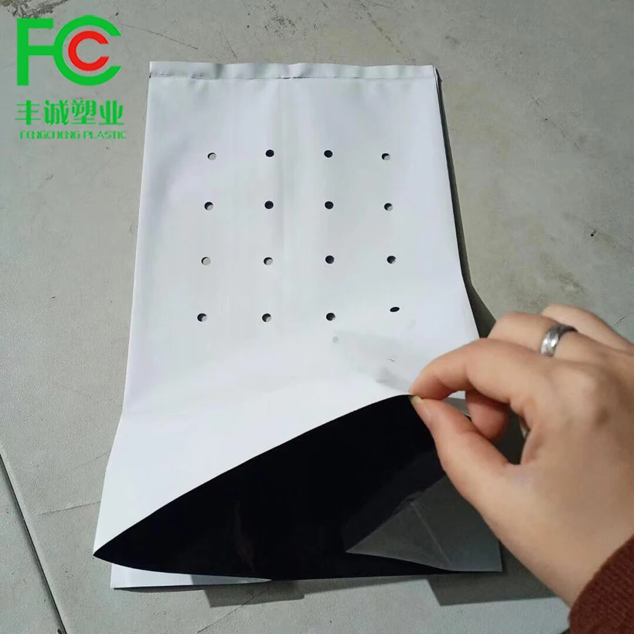 tomato cucumber strawberry grow bag vegetable or fruit plant nursery PE plastic plant bag