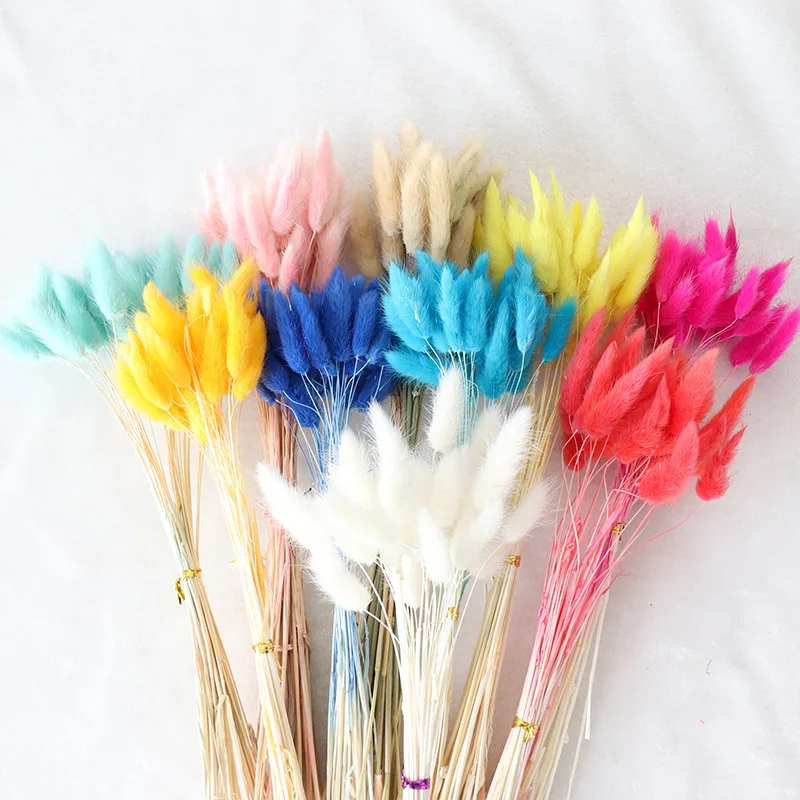 Best Selling Real touch dried flower wedding home decor colorful dry lagurus Ovatus Bunny rabbit tail grass