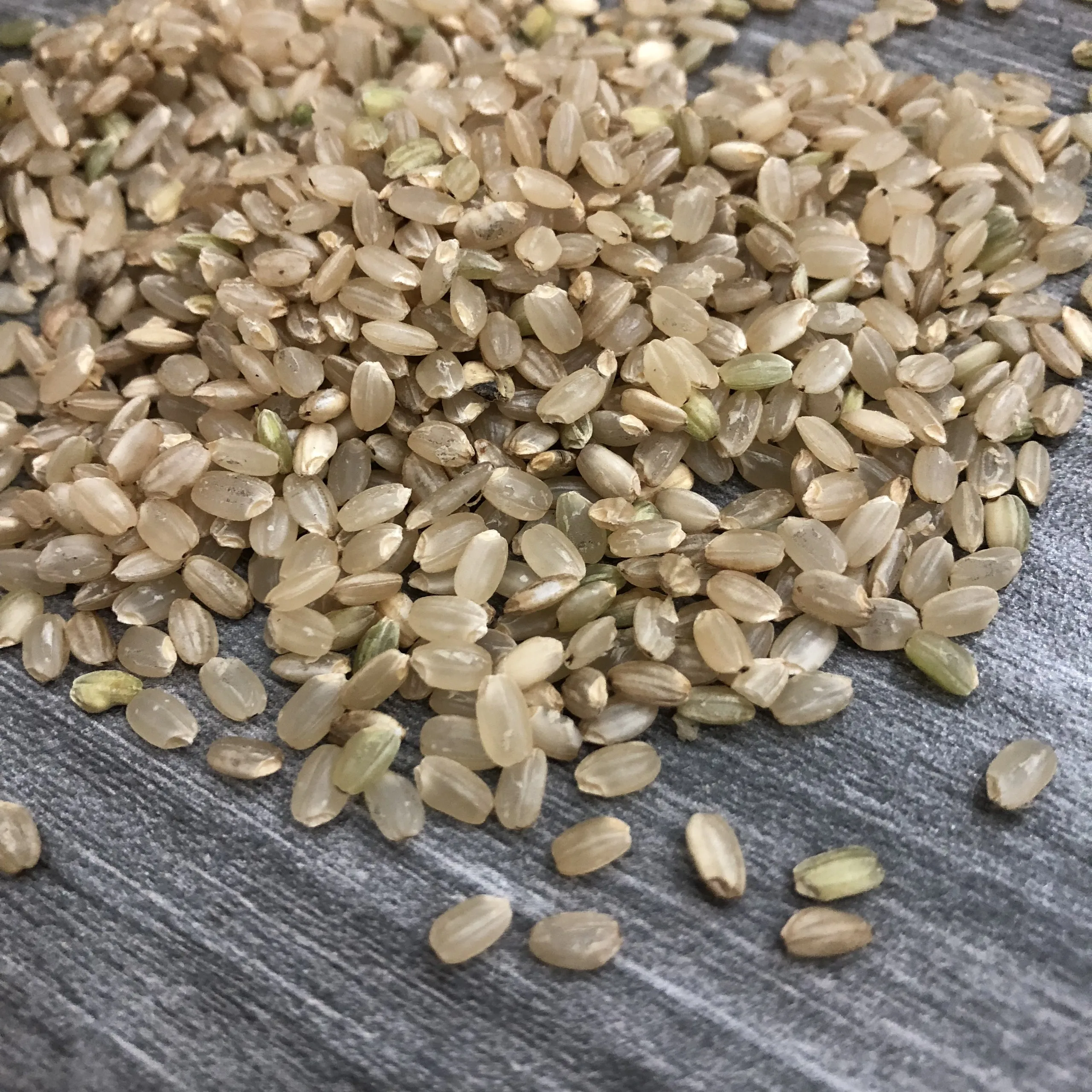 VIETNAM HIGH QUALITY RICE WHOLESALE UIWTH ISO CERTIFICATION LONG GRAIN BROWN RICE EXPORT STANDARD FROM JCC RICE FACTORY