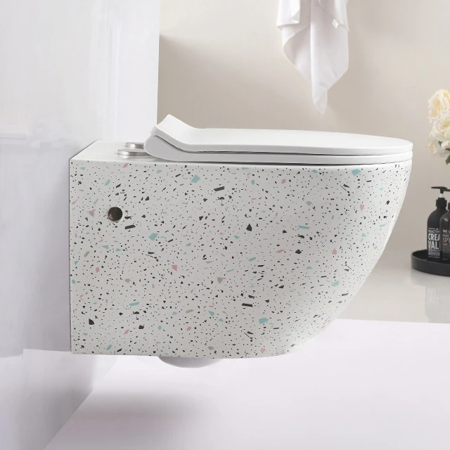 Smart Toilet for Cat Training Cam Wall Closet Raised Women Peeping Bathroom Steel Toilets Button & Seat Smart Toilet