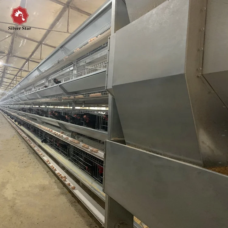 Breeding chicken farm battery cages egg chicken coop for laying hens in south africa nigeria india philippines