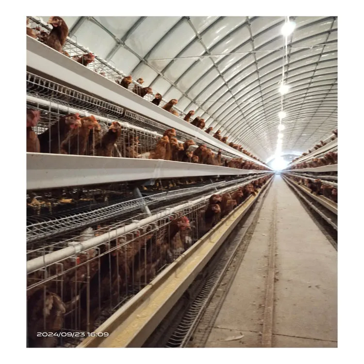 Система бизнес-моден аккумуляторная батарея с автоматическим горячим гальванизирующим слоем птицефабрики для кенийских ферм