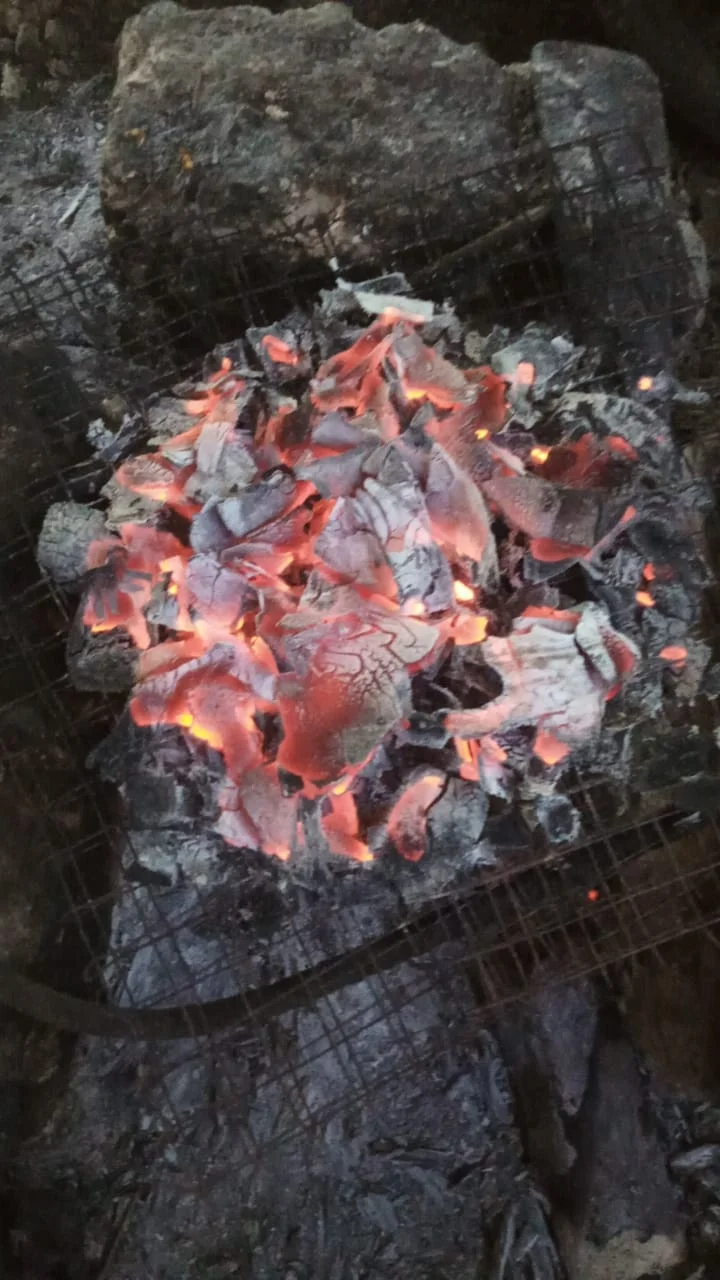 Coconut Shell Charcoal 100% Natural Raw Material Charcoal