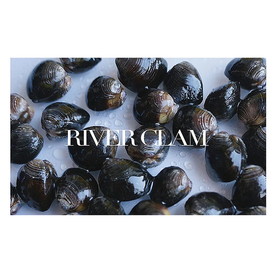 Factory Supply Custom Design Good Tasty sell Good Price Export Frozen river clam