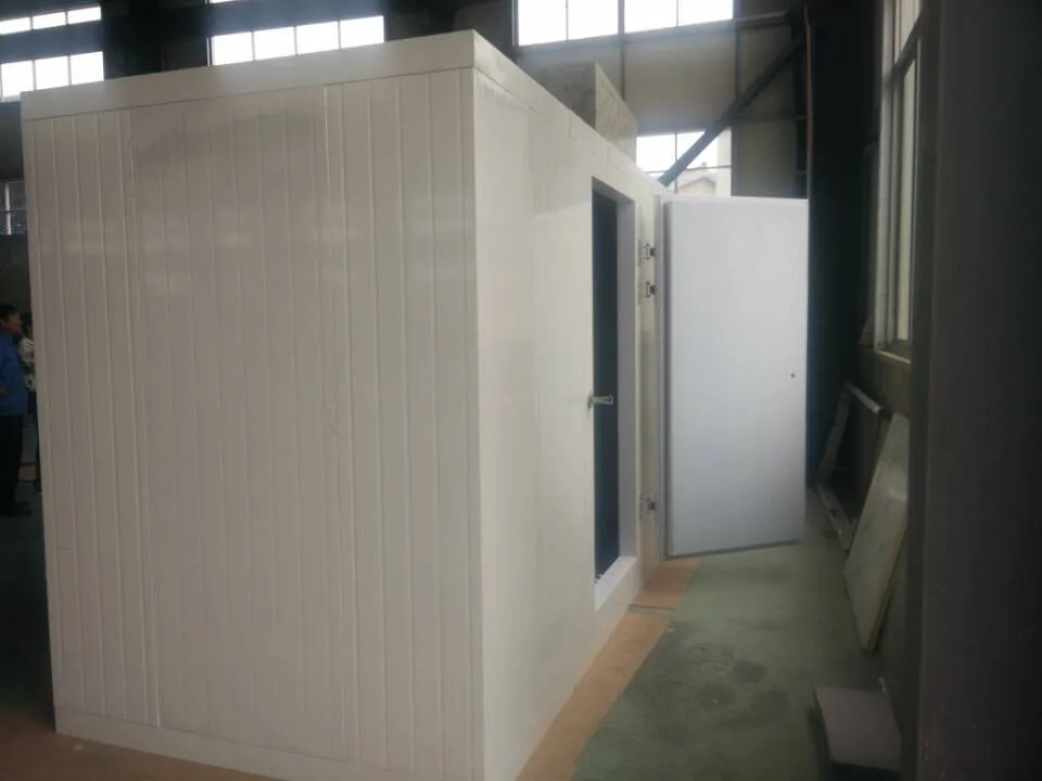Refrigerator Freezer Storage Room cold storage