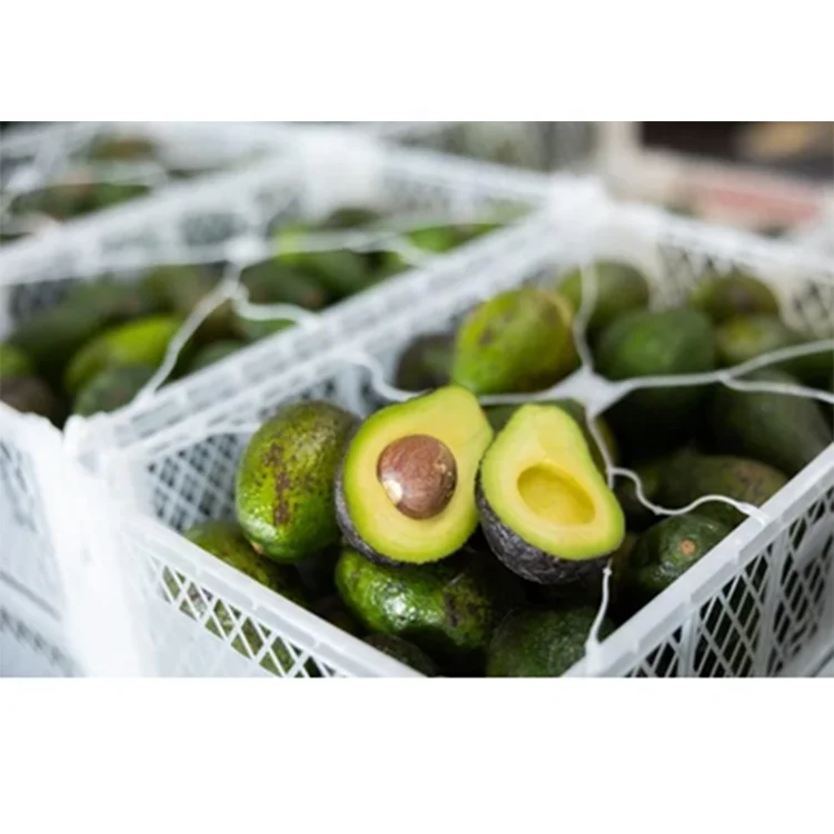 High Quality Avocado Basket Plastic Foldable Crates Ventilation Holes for Vegetables and Fruits