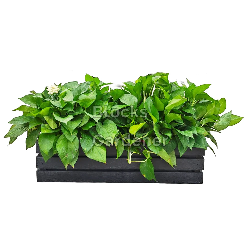 self watering big size wood plastic wpc outdoor planter flower box