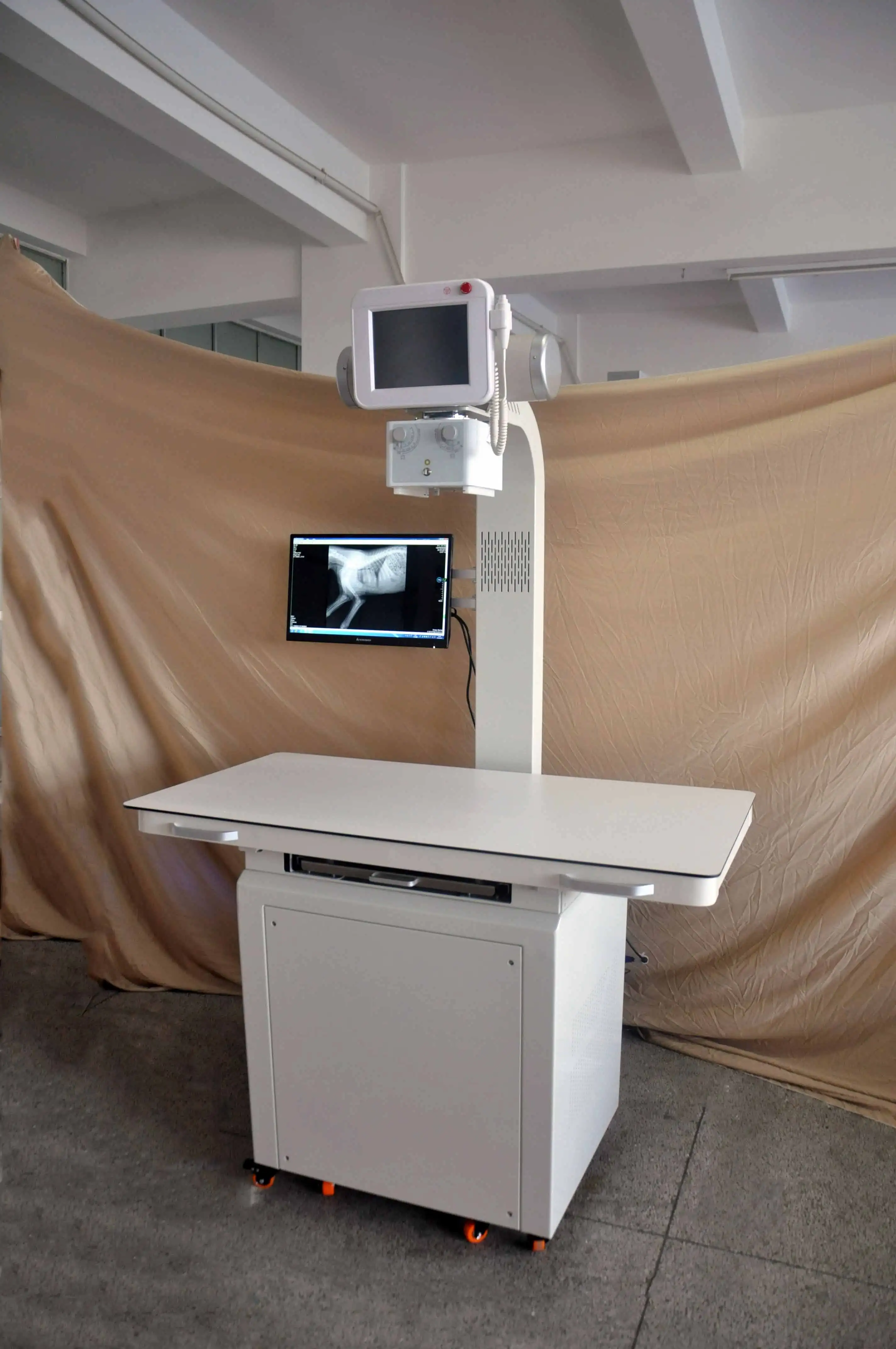 Veterinary High Frequency X-ray Machine for Pet Dog medical diagnosis