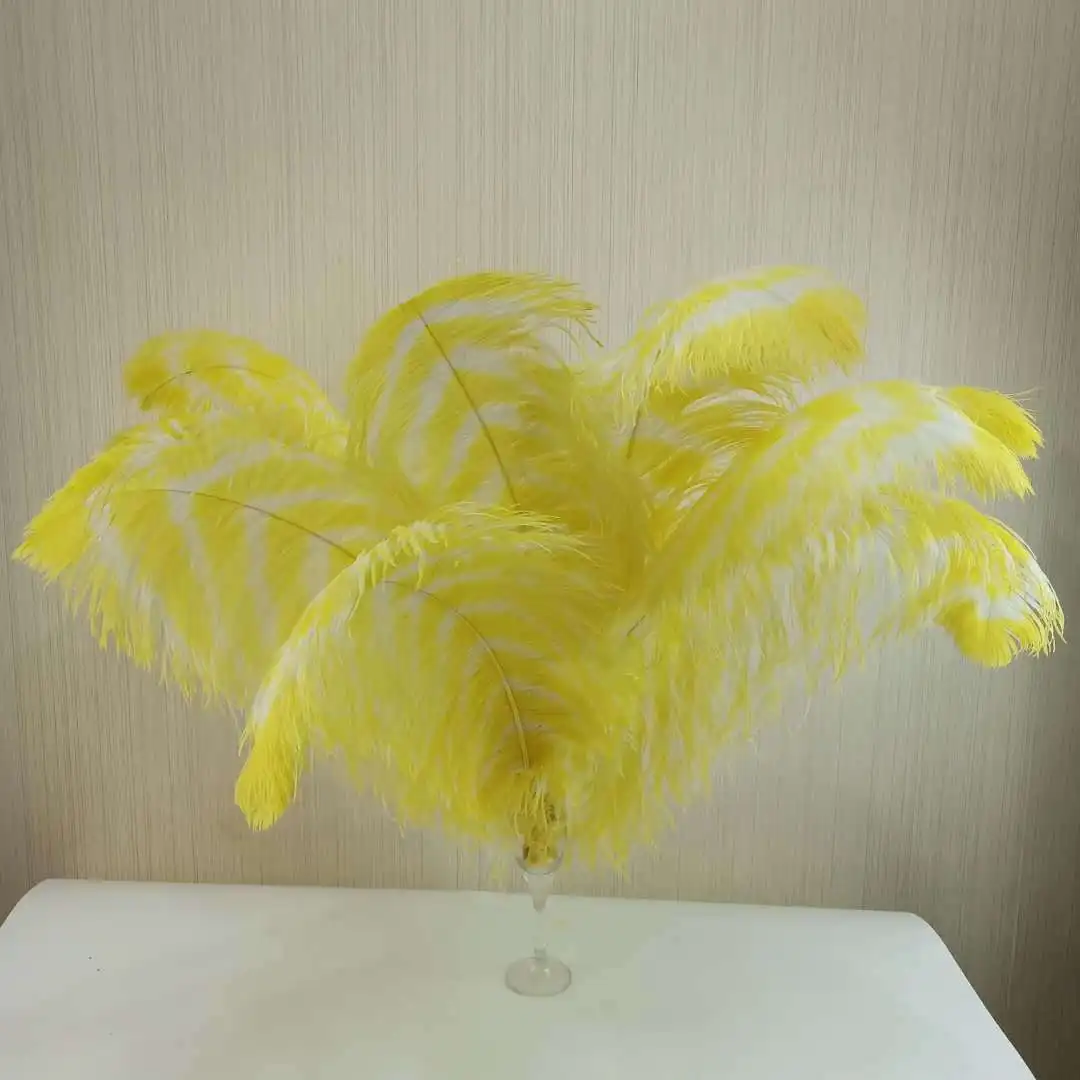 Wholesale trimmed decoration zebra ostrich feathers quill plume for large feather wings costume set