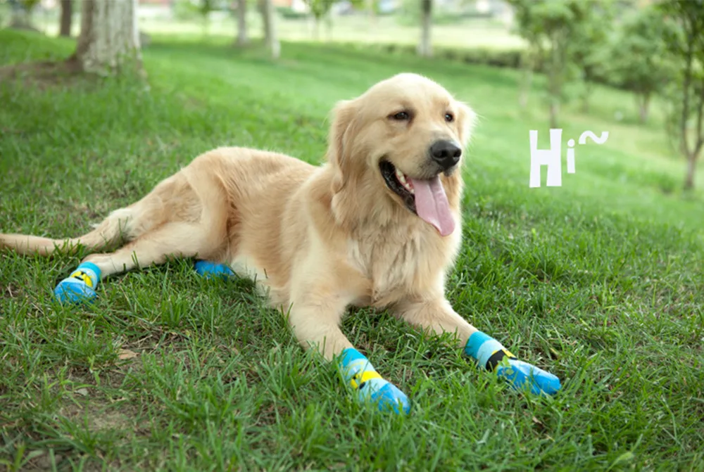 pet shoes socks factory classic dogs socks long stockings various styles anti slip cute pet socks for resale
