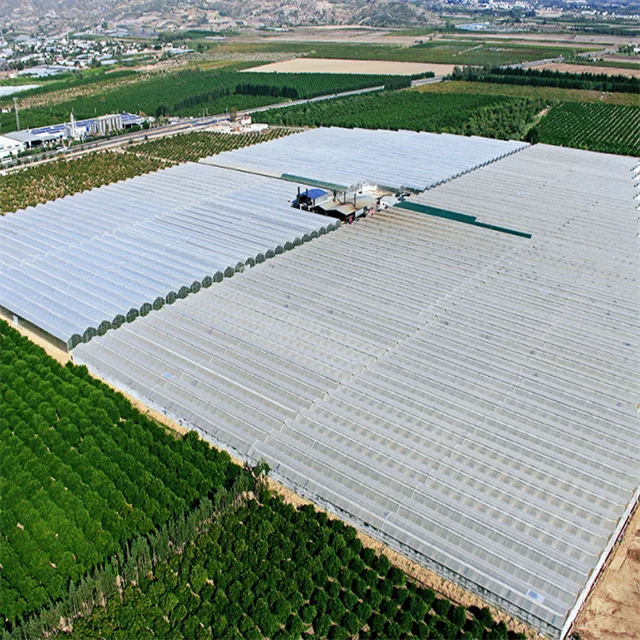 FM Cheapest In Stock Turnkey Projects Plastic Film Agricultural Tomato Hydroponics invernadero Green House Greenhouse