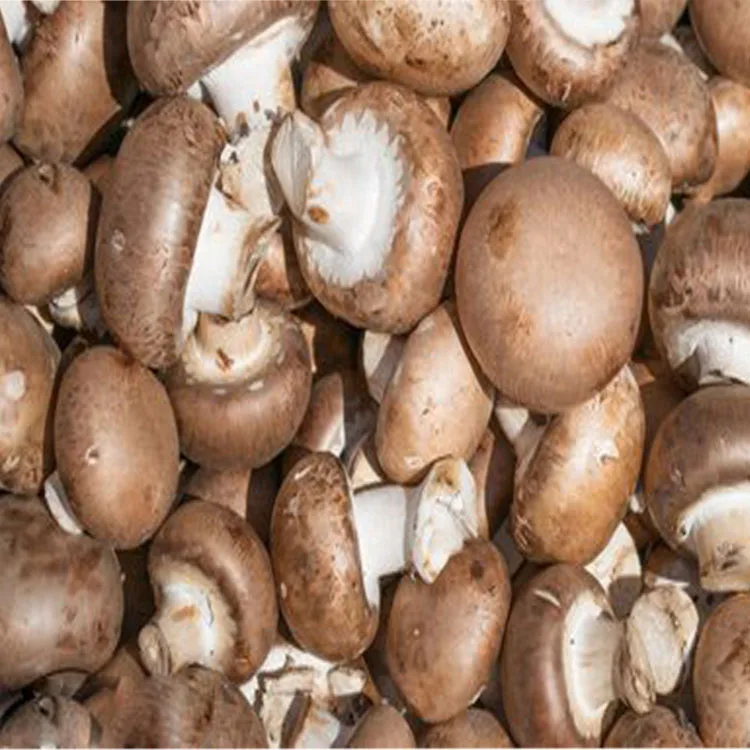  Органические свежие грибы shiitake коричневого цвета оригинальный тип долговечный продукт ISO модель