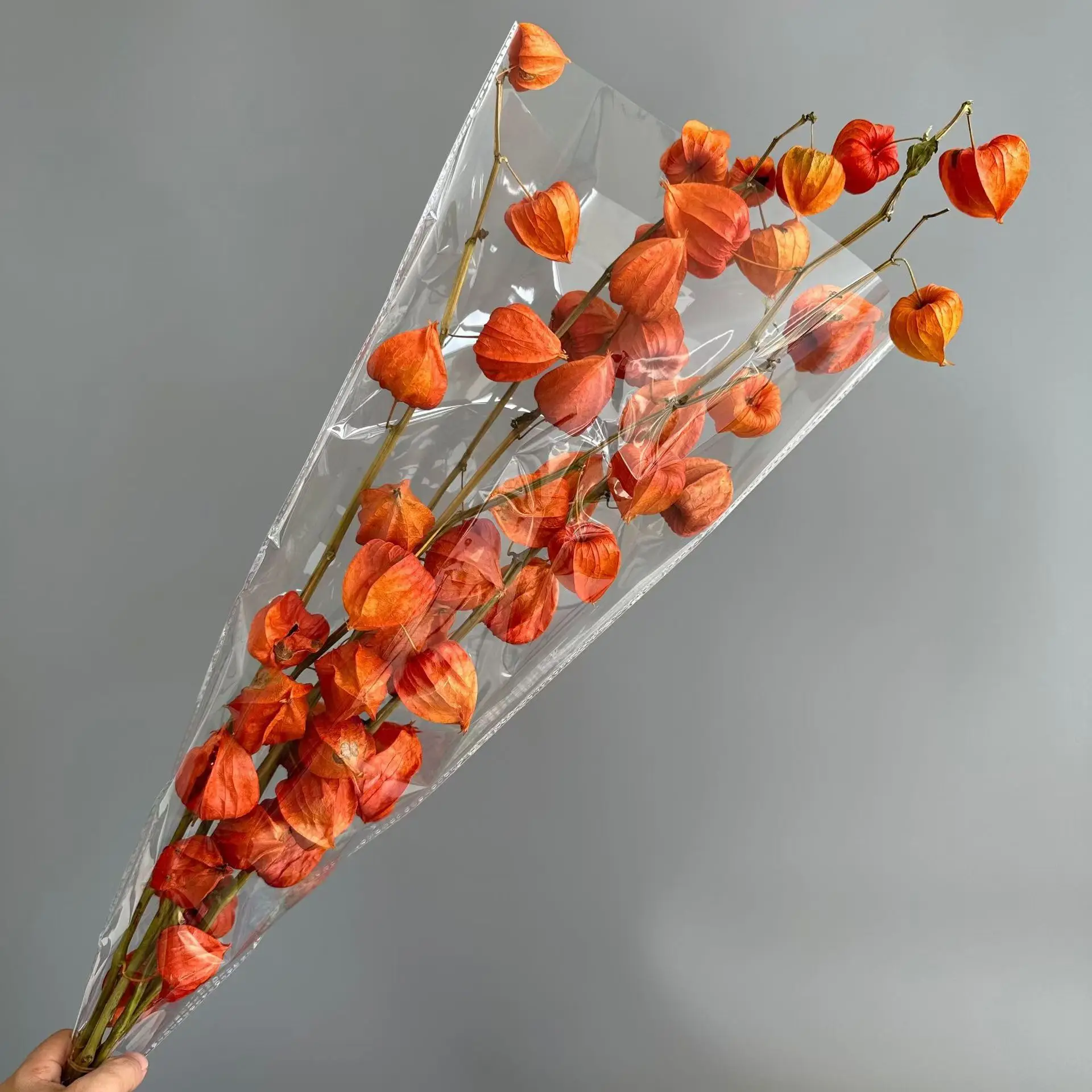 Ins most popular pastoral dried natural flower physalis fruit for home decor