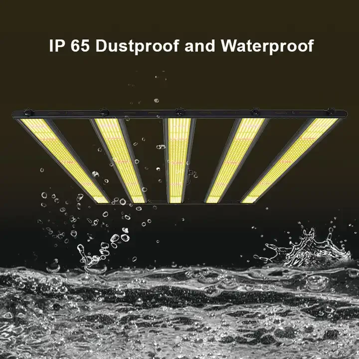 Samsung Lm301b 2.9umol/s Lm301h Evo Tent Growing From Hortibloom 500w 600w 720w 1000w Full Spectrum Led Grow Light