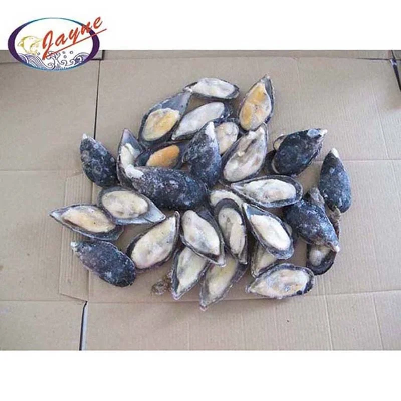 New product launch in market new zealand frozen green mussel shell meat