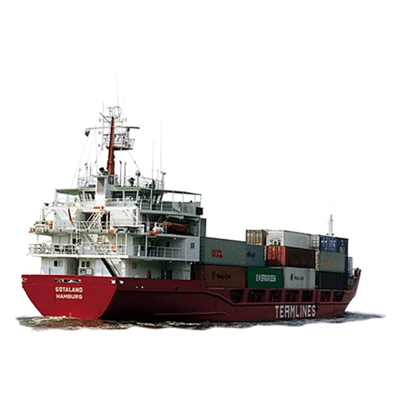 New Speed International Best Sea Shipping Agent DDP from China to Cameroon Delivery Logistics Service