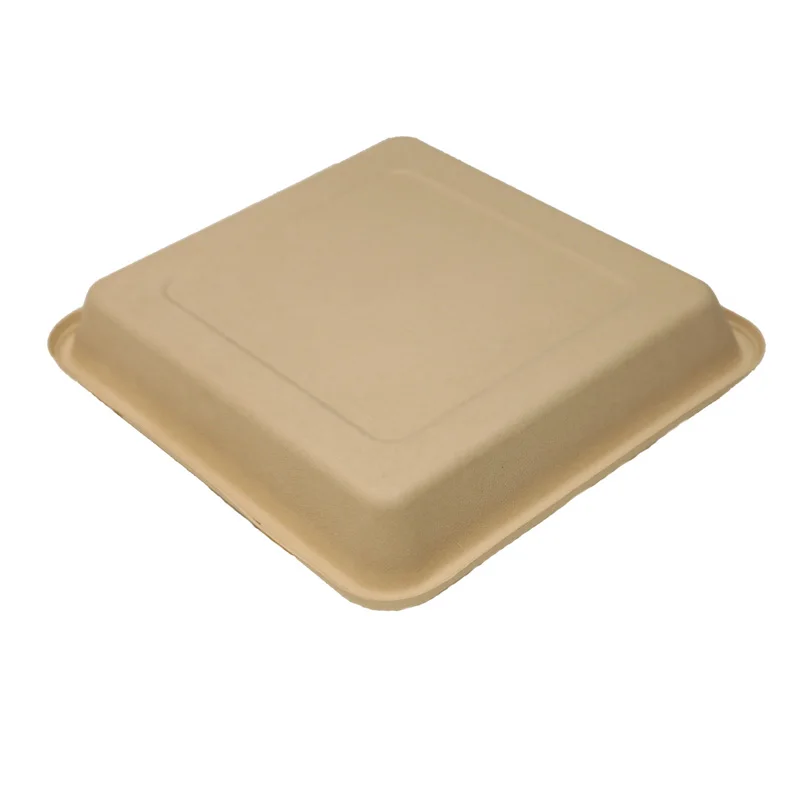 Food Grade 100% Biodegradable Bamboo Pulp Containers Disposable Trays With