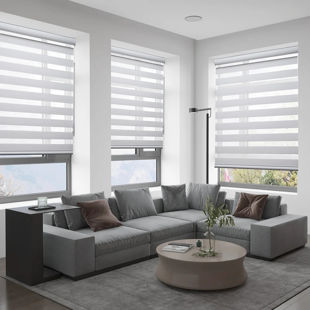 OEM/ODM Factory Motorised Electric Wifi Indoor Hotel Window Remote Control Zebra Blinds