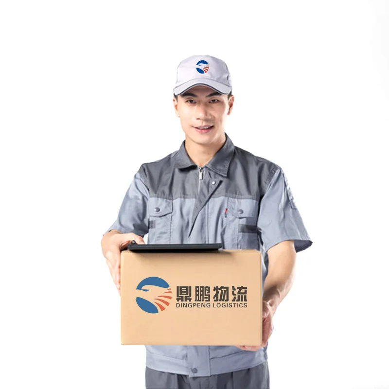 Агент Китай Самый дешевый Профессиональный Экспресс FBA/DHL/UPS/FEDEX/EMS для Франция Канады Австралия экспедитор из Китая