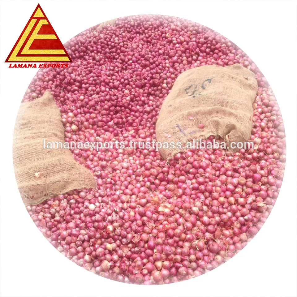Fresh Red Onion for Malaysia 25mm to 60mm Premium Quality